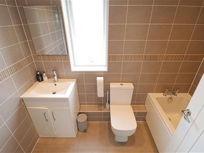 Picture 19